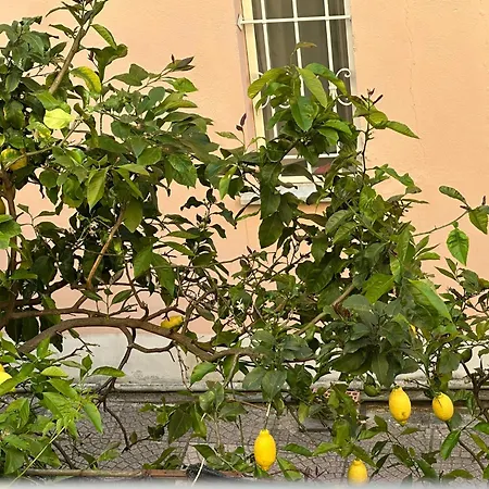 Yara 5 Terre Penzion